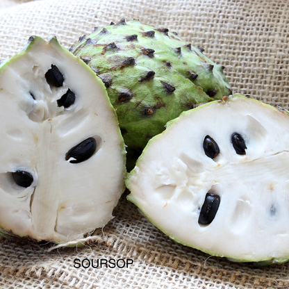 Soursop Dream Whipped Body Butter